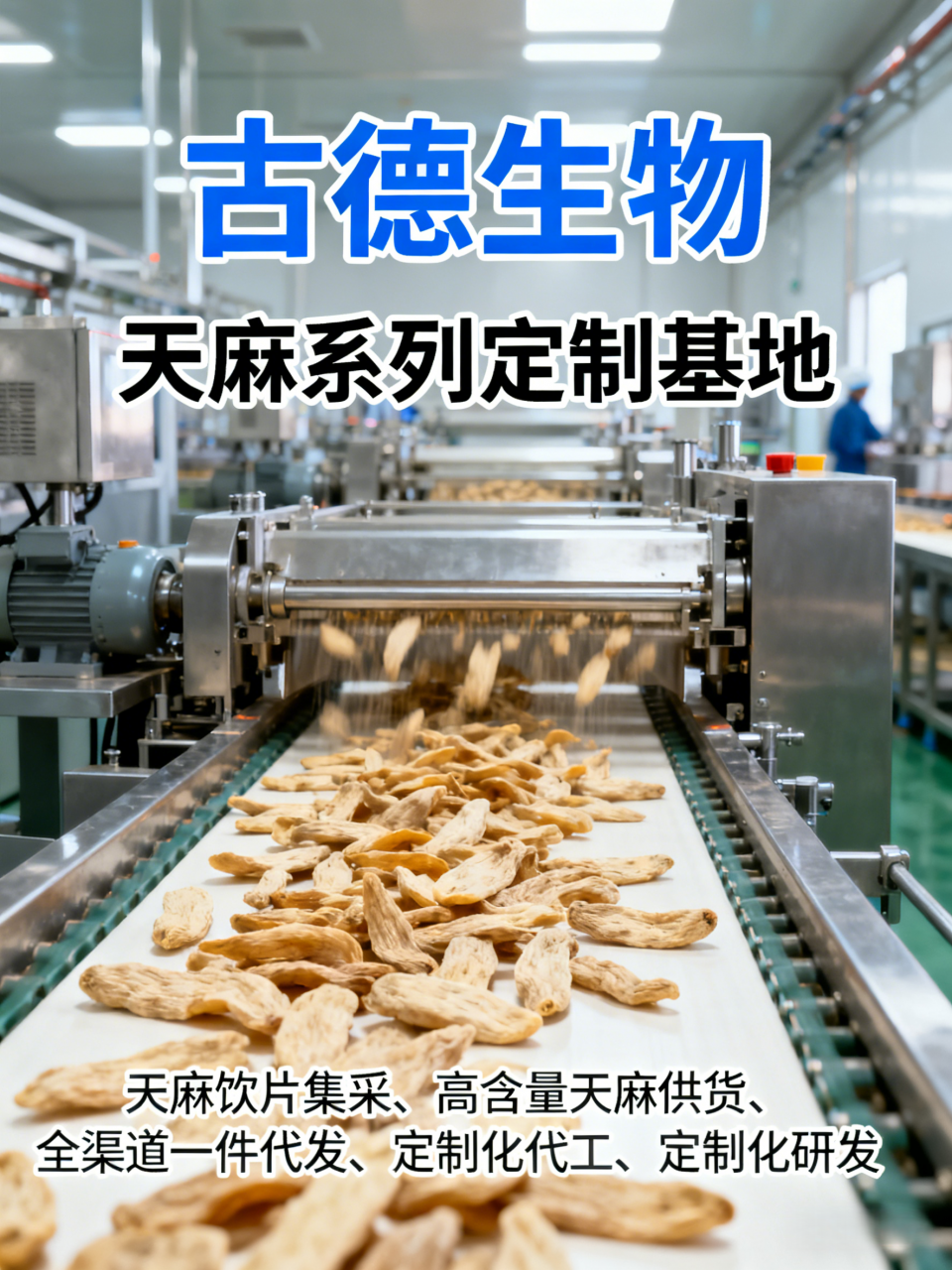 天麻定制代工古德生物高含量天麻素0.3%原料稳定