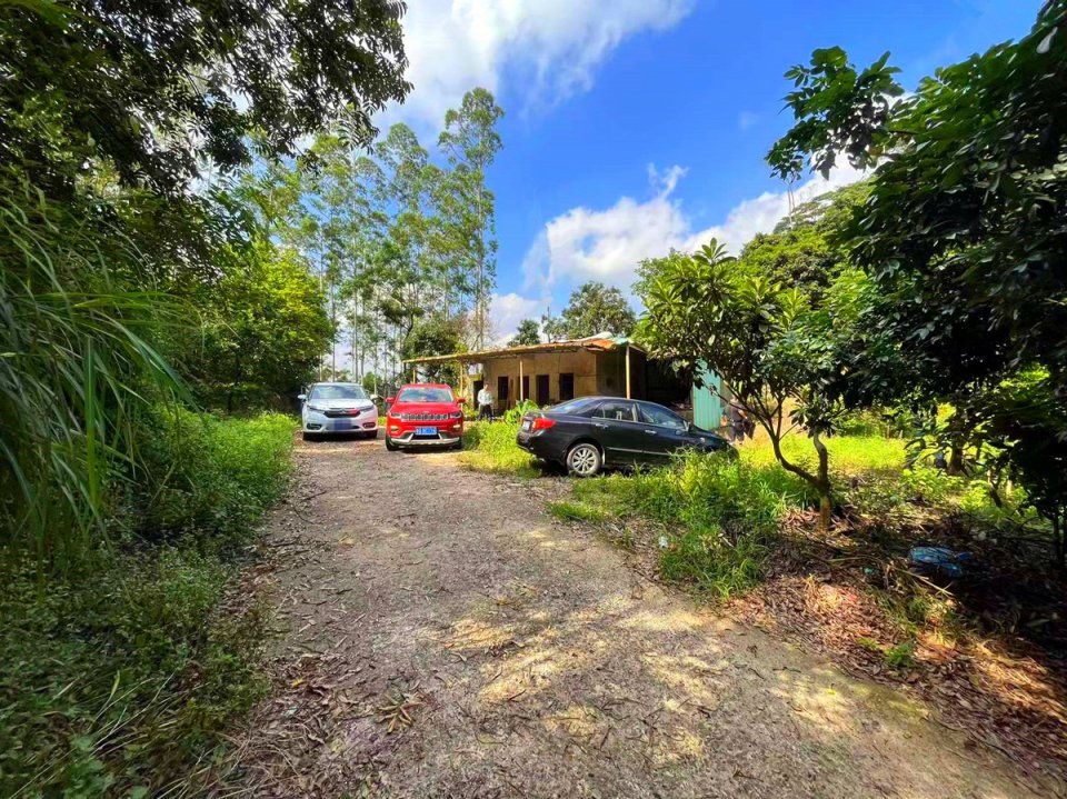 从化区温泉溪水边1200亩山地果园楼房农场整体转让