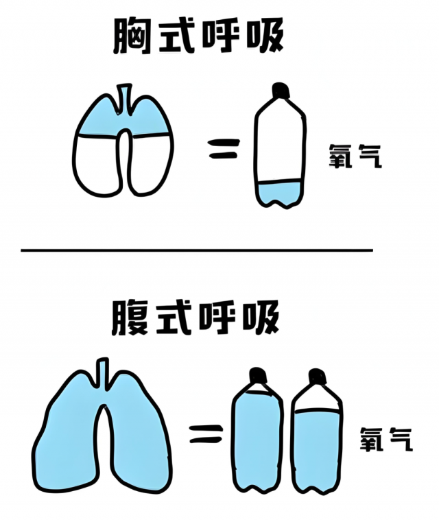 产后恢复新选择：腹式呼吸助你重拾健康与自信