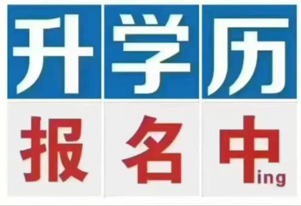 2026 学历提升火热进行中