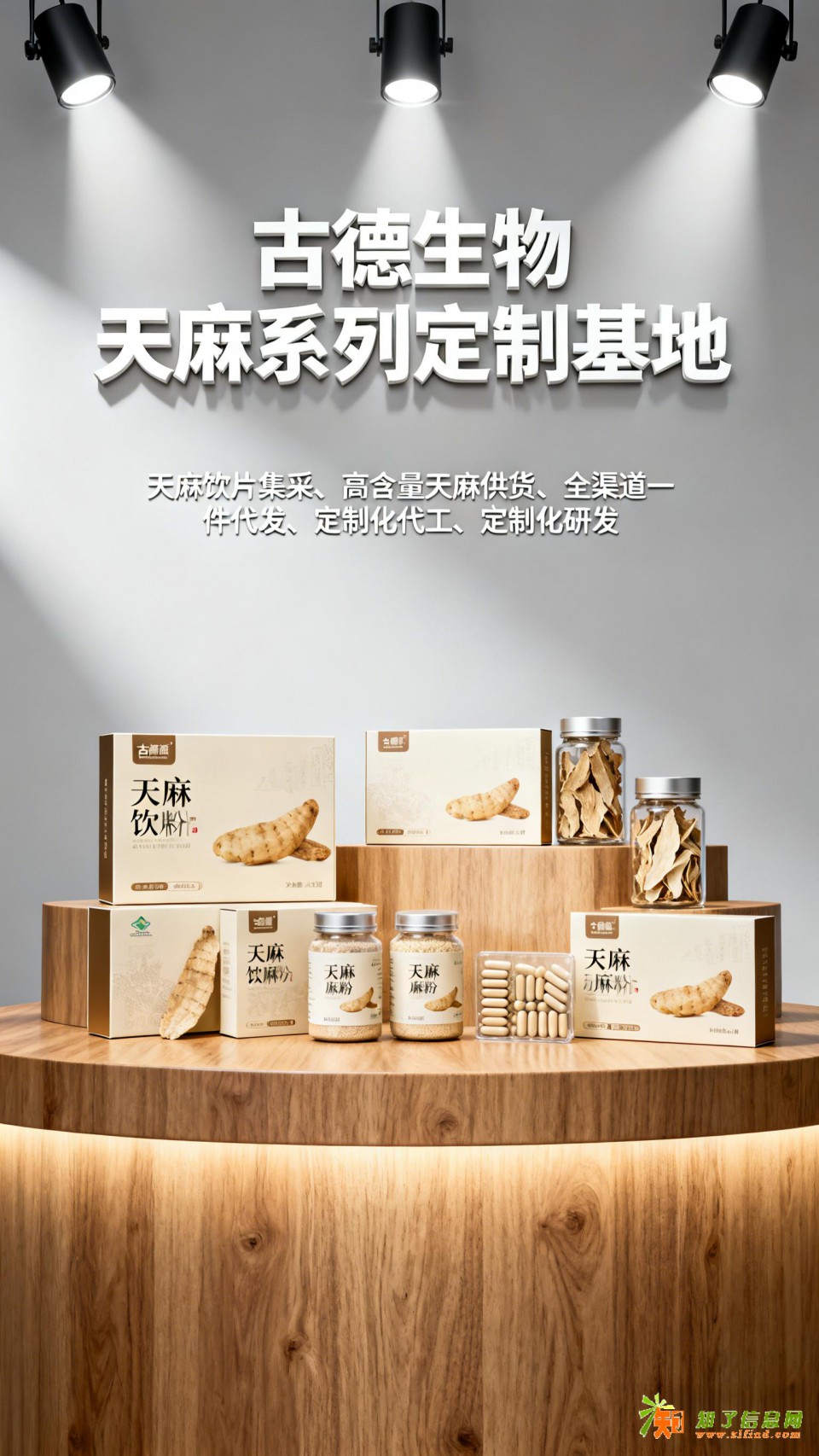 天麻代工定制古德生物高含量原料稳定天麻素0.3%浸出物20%