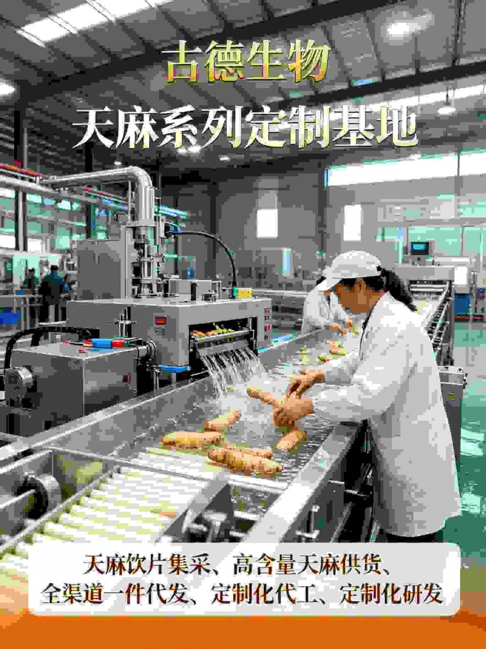 古德生物高含量天麻浸出物20%检测齐全支持混批