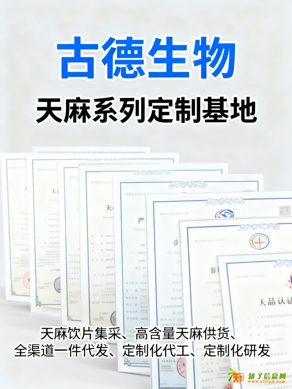 高含量天麻集采古德生物源头品质保证天麻素0.5%