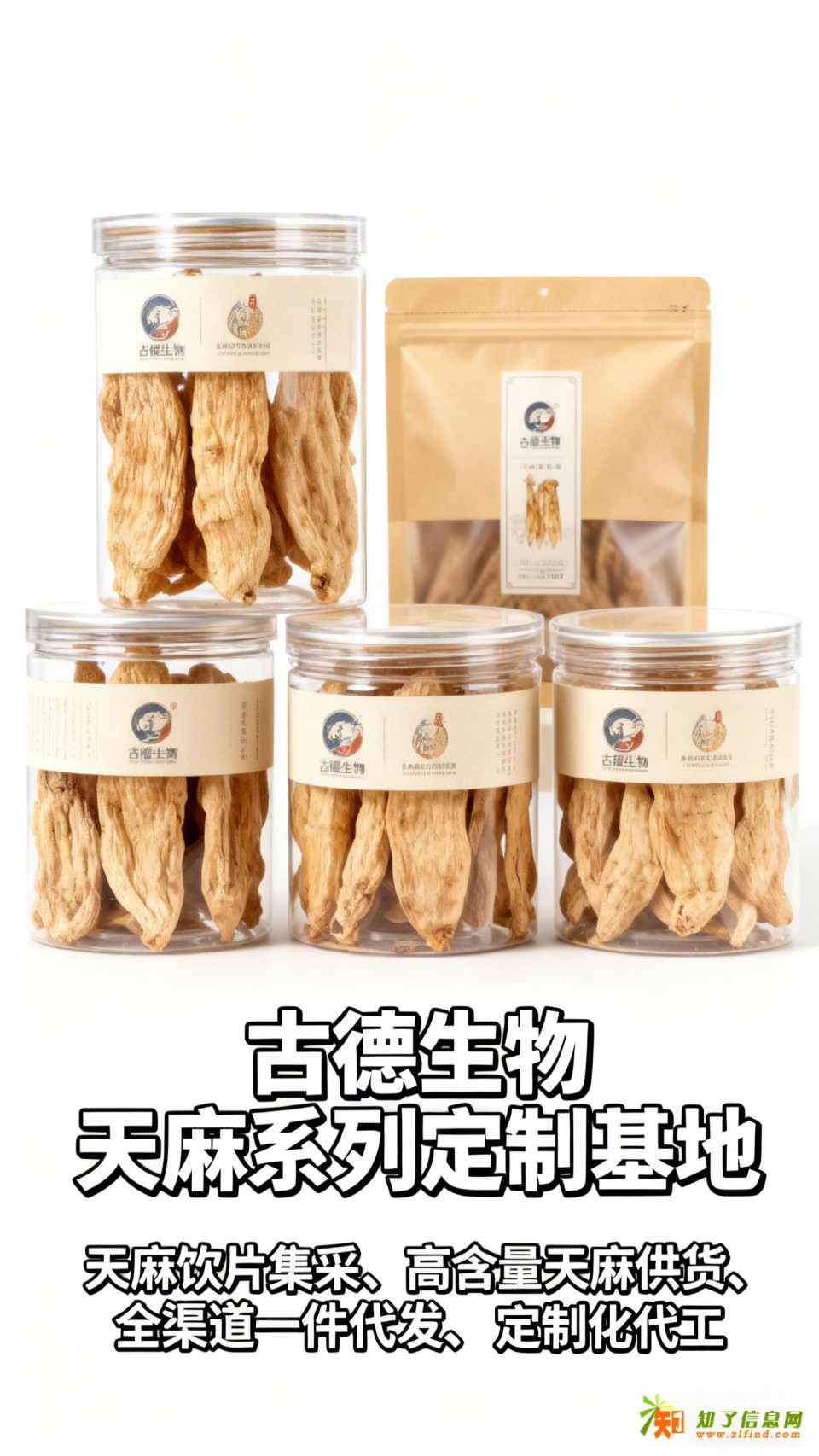 古德生物高含量天麻原料浸出物30%适配功能食品天麻素0.5%