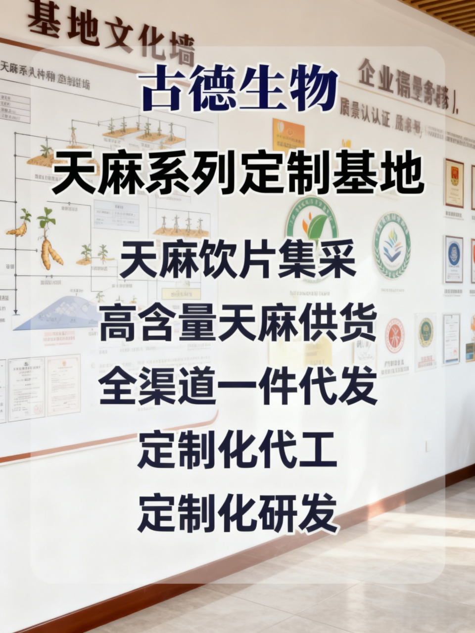 药典标准天麻研发古德生物研发优化产品升级浸出物15%