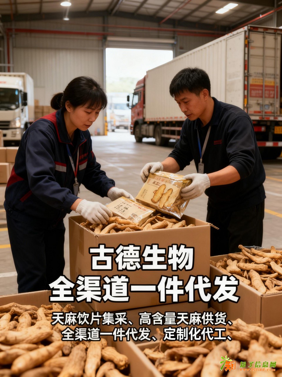 天麻定制合作古德生物高含量浸出物30%原料保障