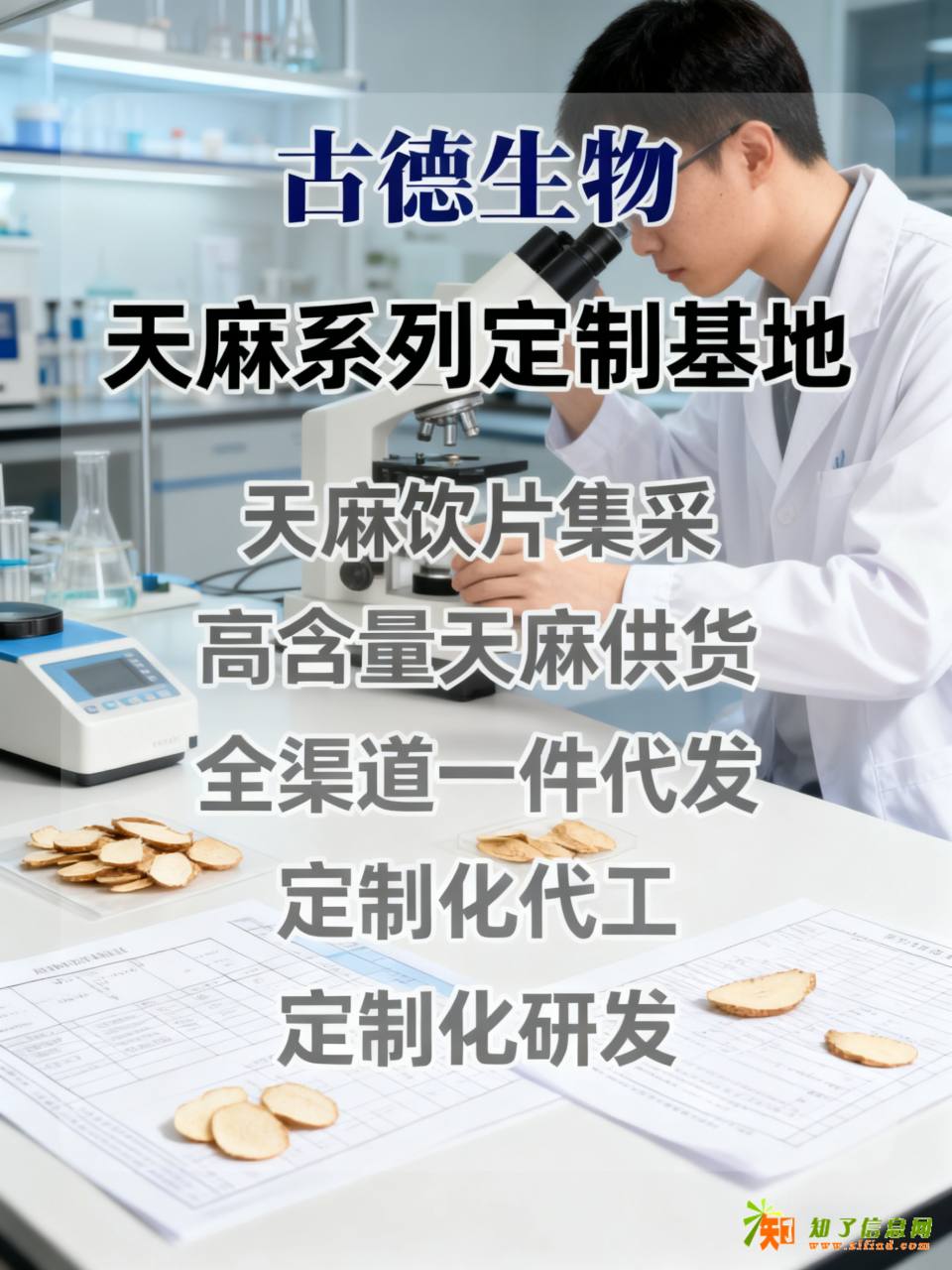 古德生物高含量天麻天麻素0.5%浸出物30%药企高端原料首选