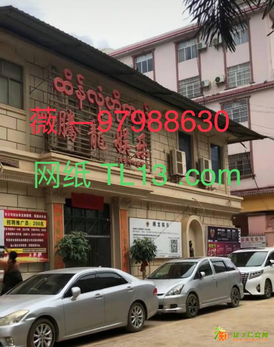 网《址TL13.com》新盛公司线上负责人上下分注册会员