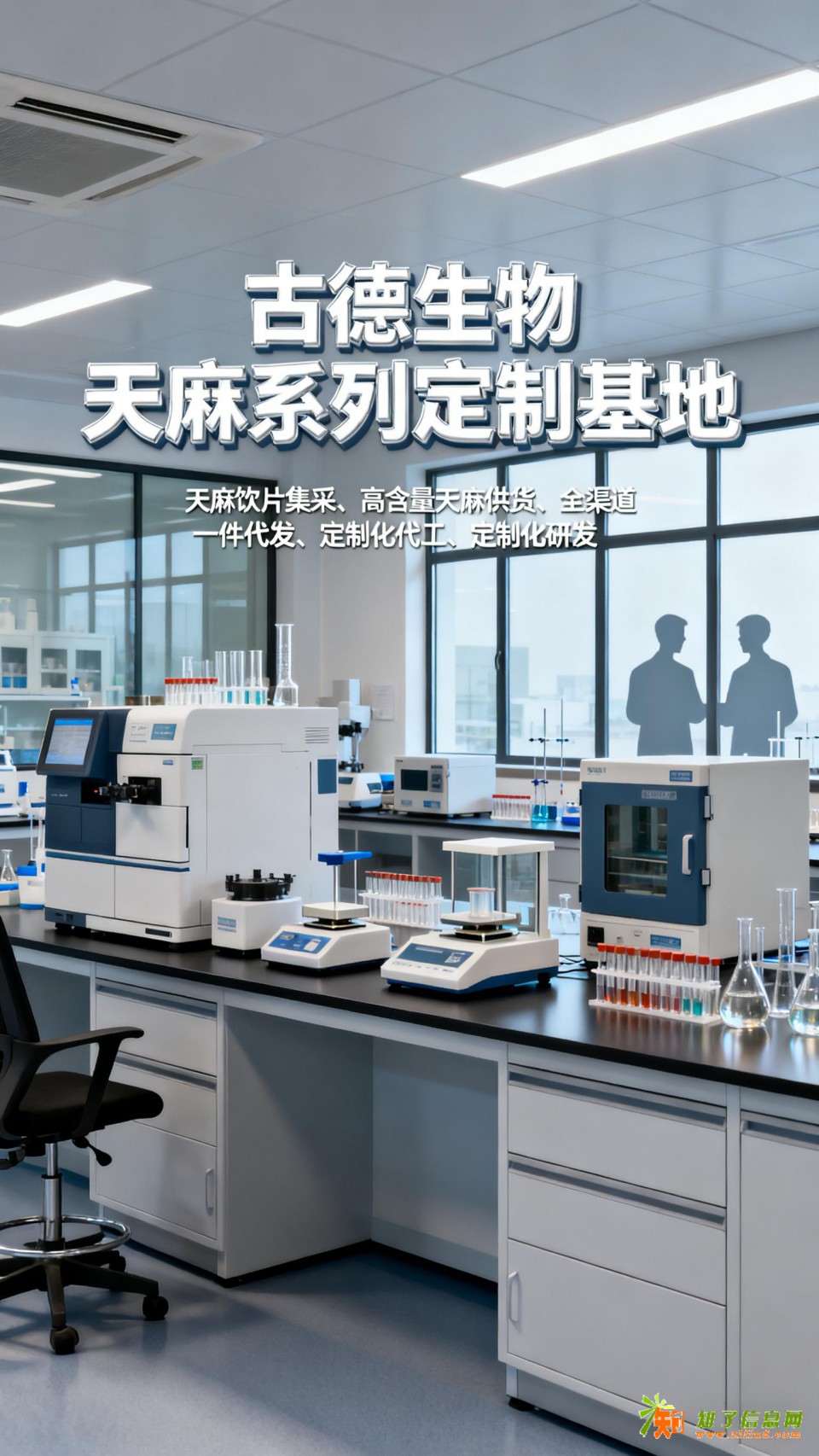 古德生物高含量天麻定制天麻素0.5%浸出物30%研发支持