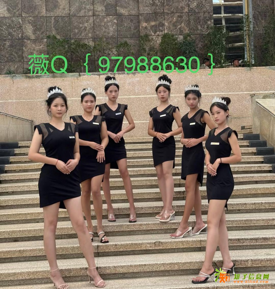 网《址TL13.com》新盛公司注册会员账号以及办理业务