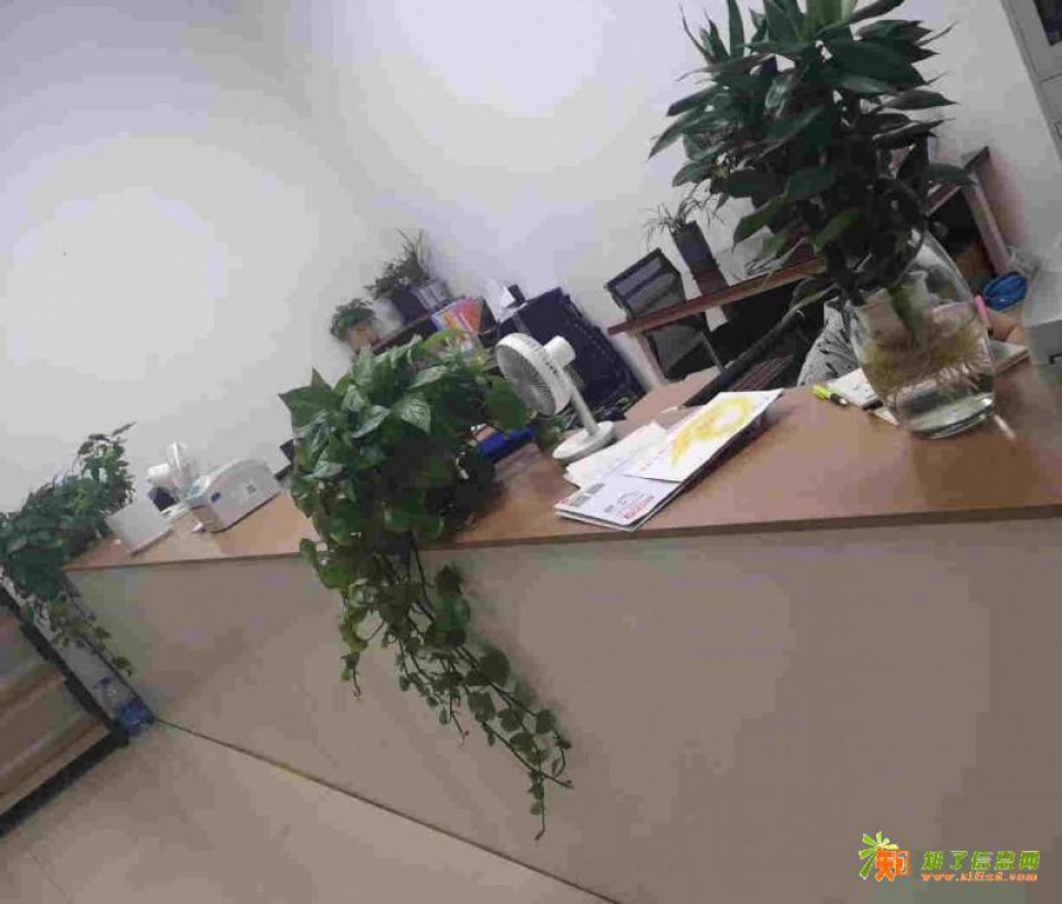 淄博到安徽物流专线整车零担大小件直达快运