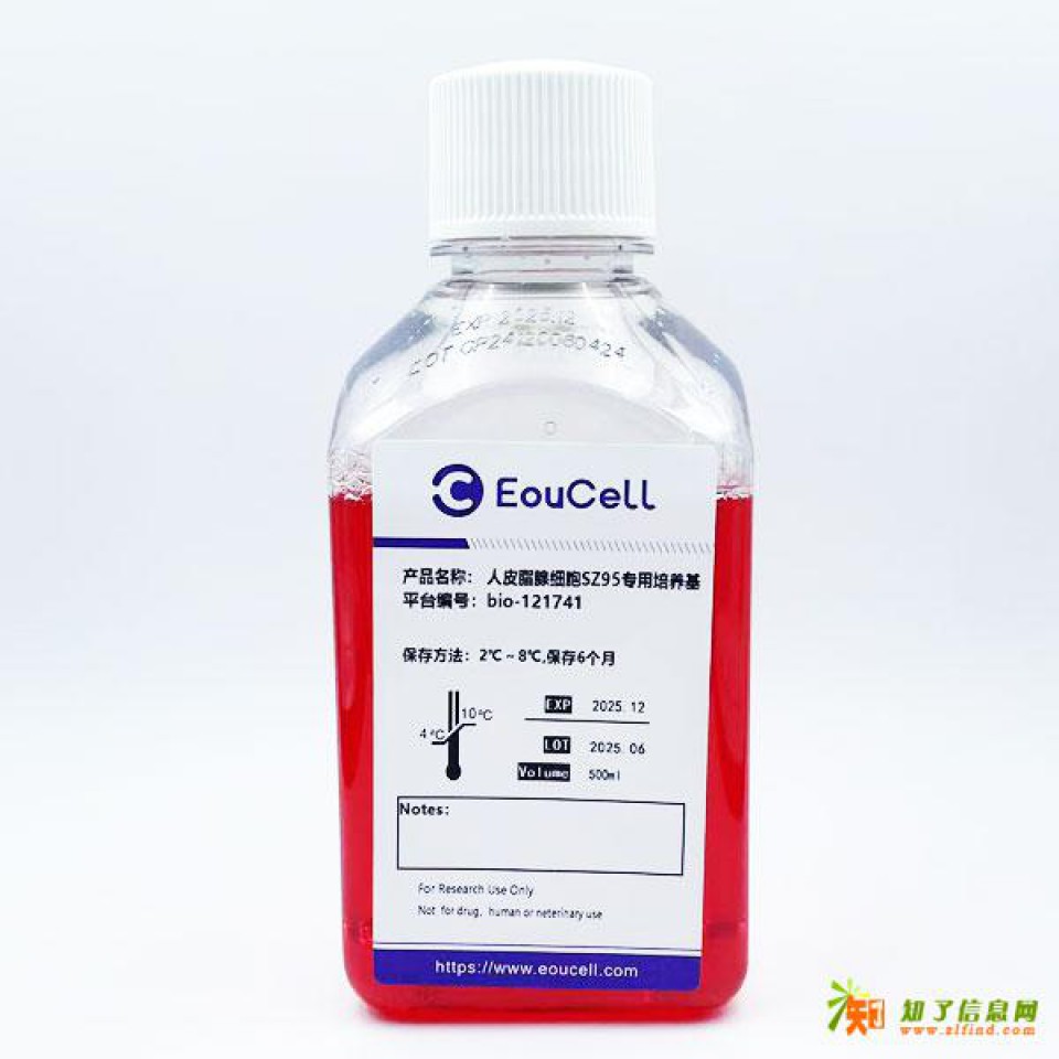 人皮脂腺细胞SZ95专用培养基500ml